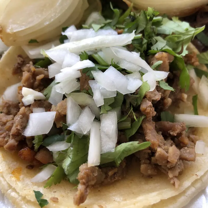 Mini Tacos El Reparo