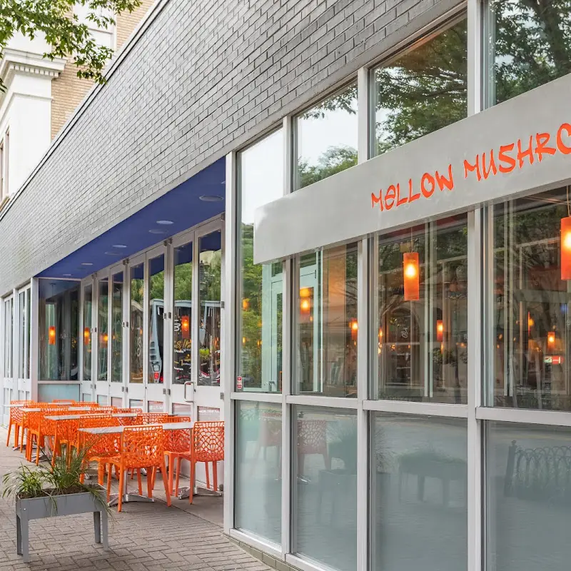 Mellow Mushroom Winston-Salem