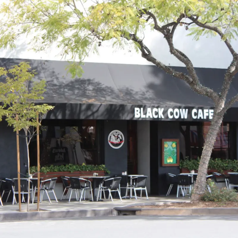 The Black Cow