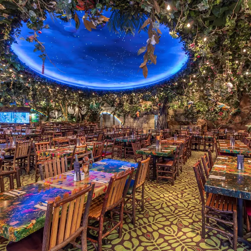 Rainforest Cafe