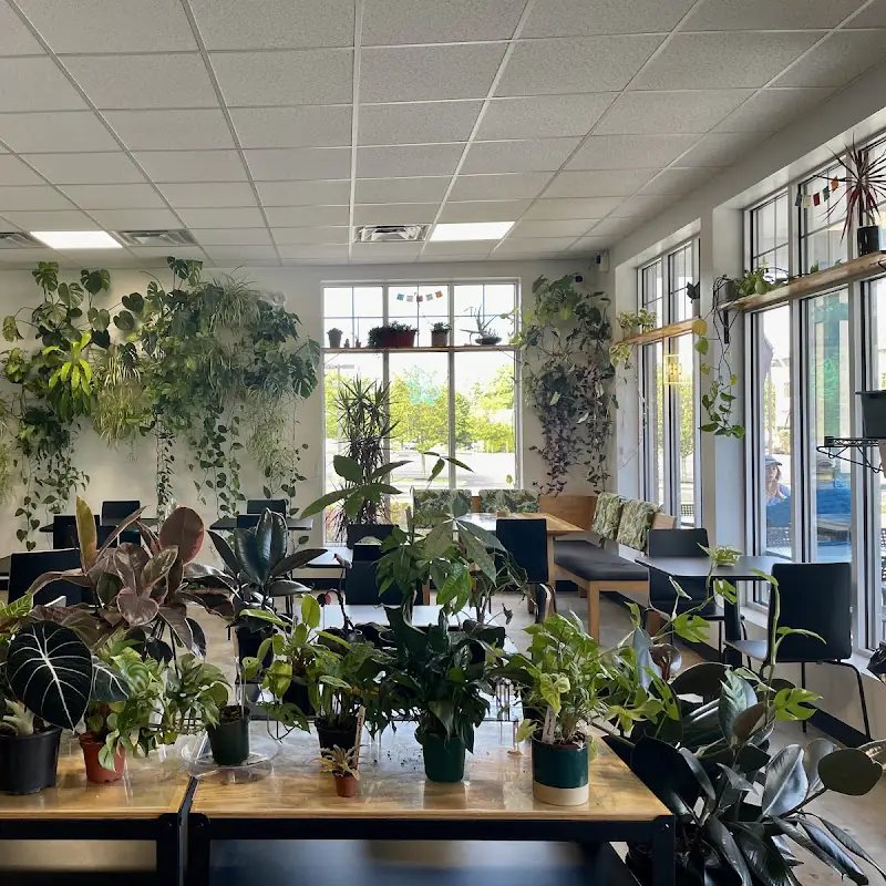 Rooted + Rind Cafe