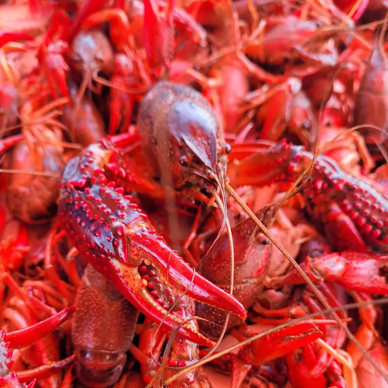 Louisiana Seafood Company