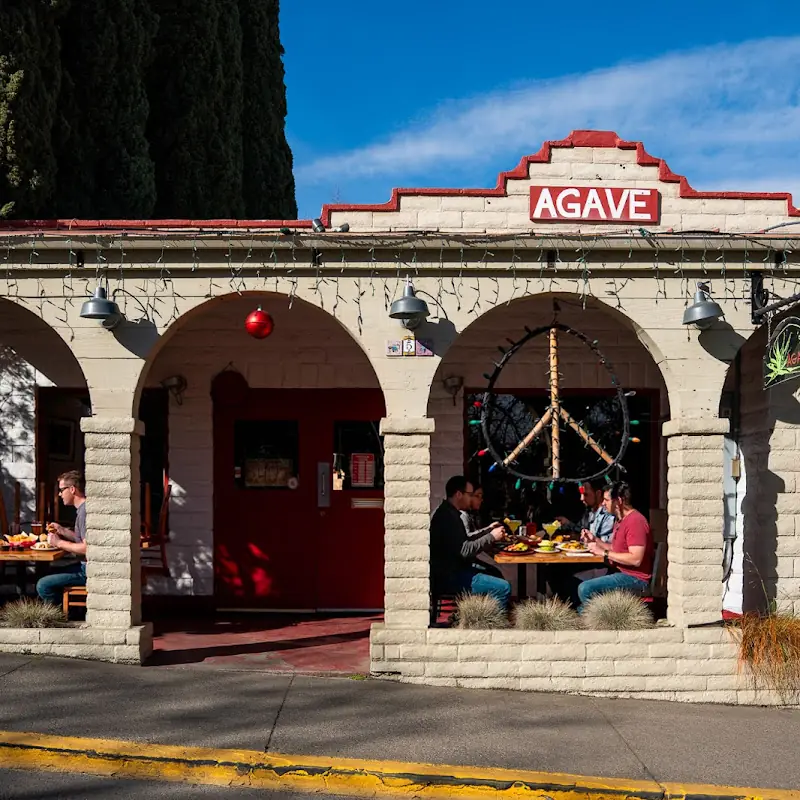 Agave