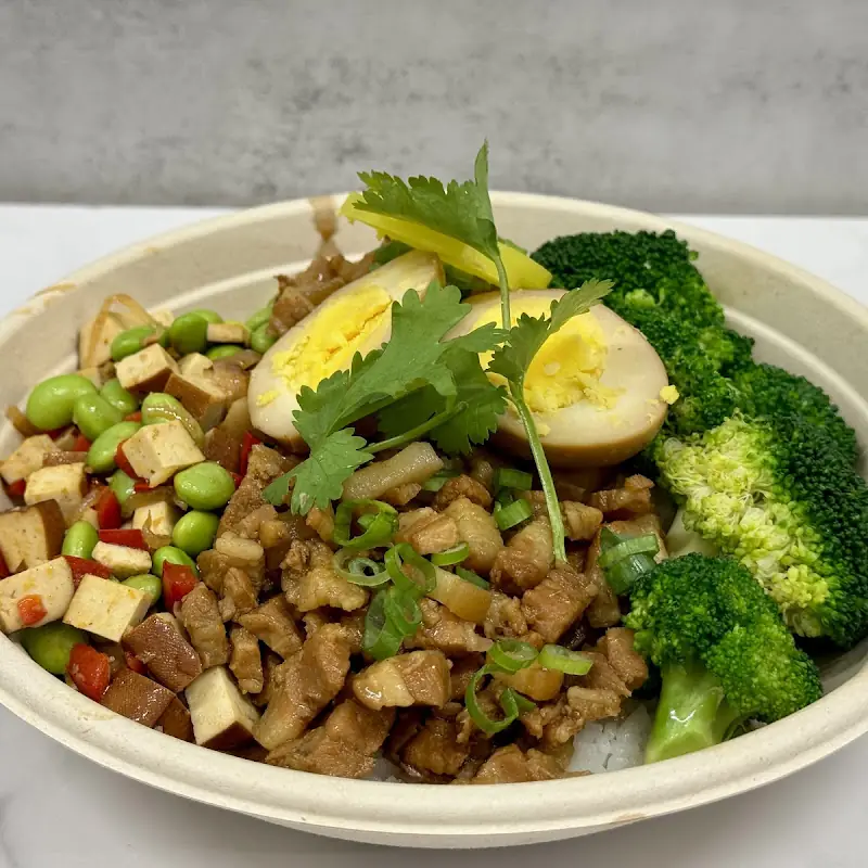 Jiayi Chicken Rice with Braised Pork