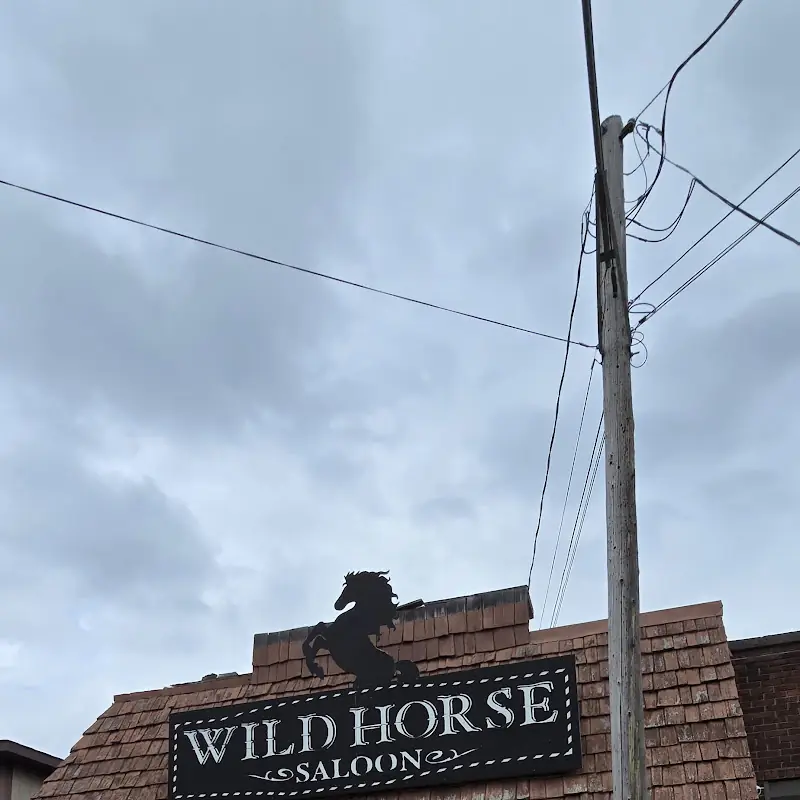 Wild Horse Saloon
