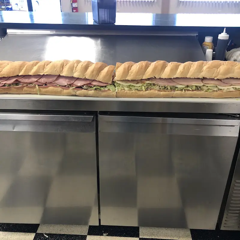 Tuna Burger Sandwich