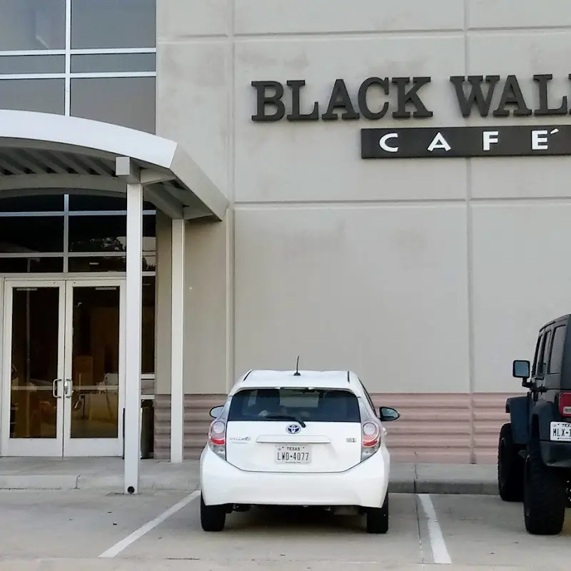 Black Walnut - Conroe