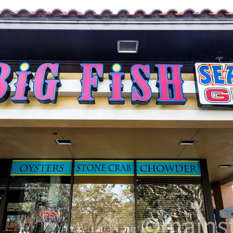 Mr.Big Fish
