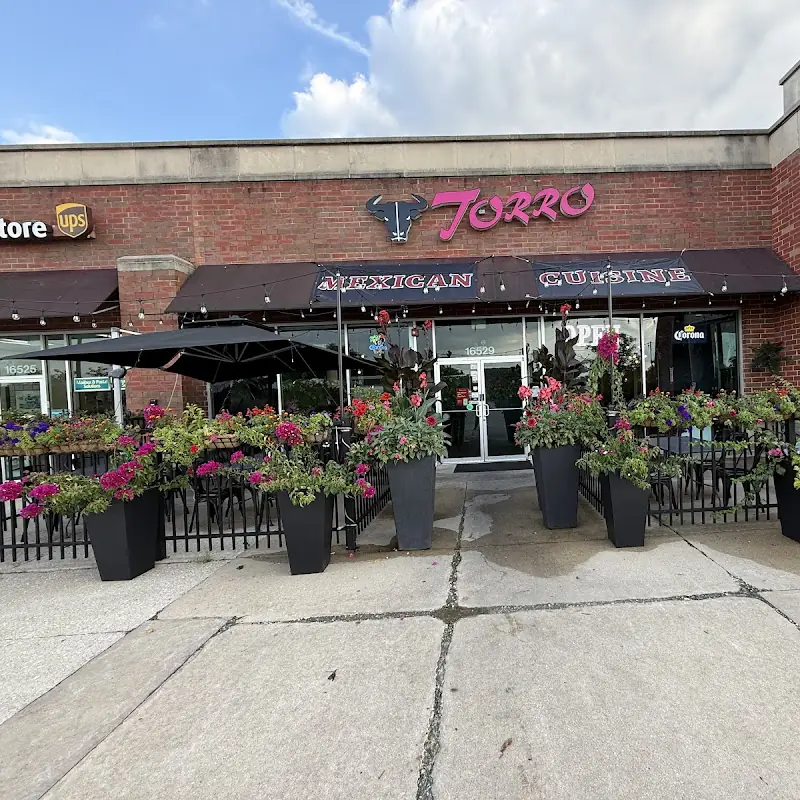 TORRO MEXICAN CUISINE