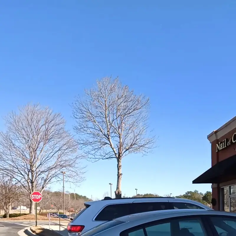 Papa Johns Pizza