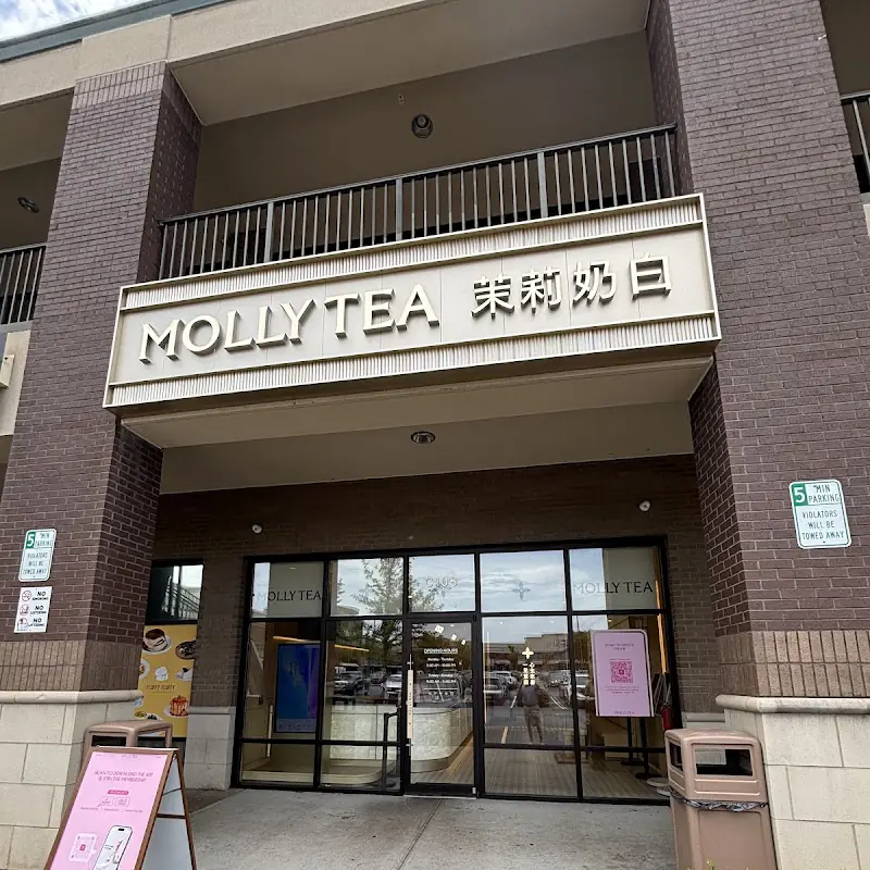 Molly Tea | Doraville