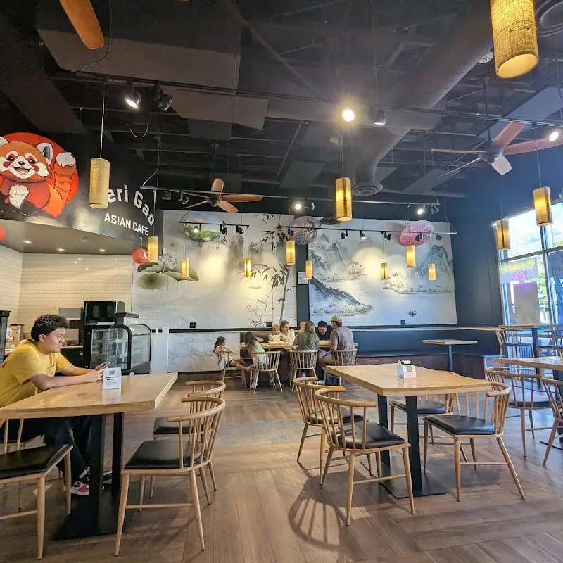 Teri Gao Asian Cafe