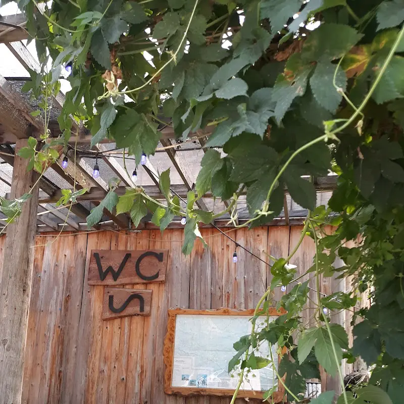 Wild Coyote Saloon