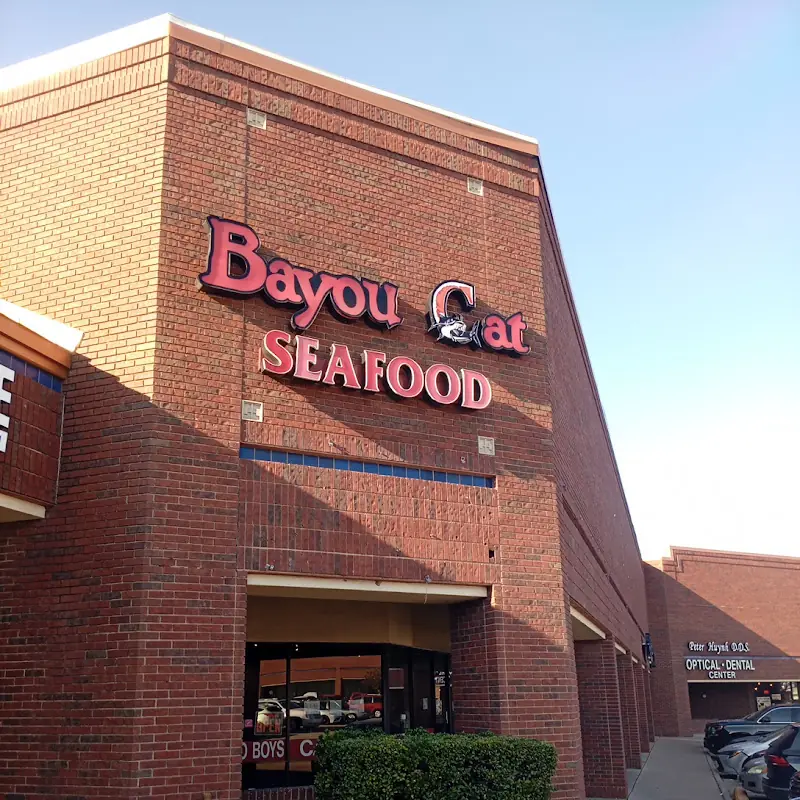 Bayou Cat