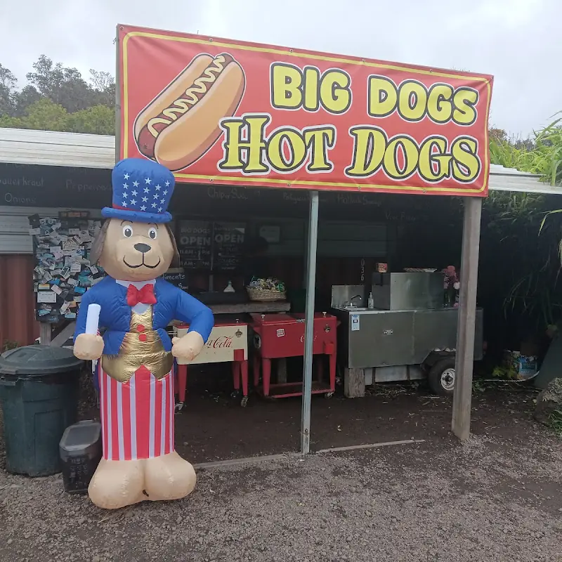 Big Dogs Hot Dogs