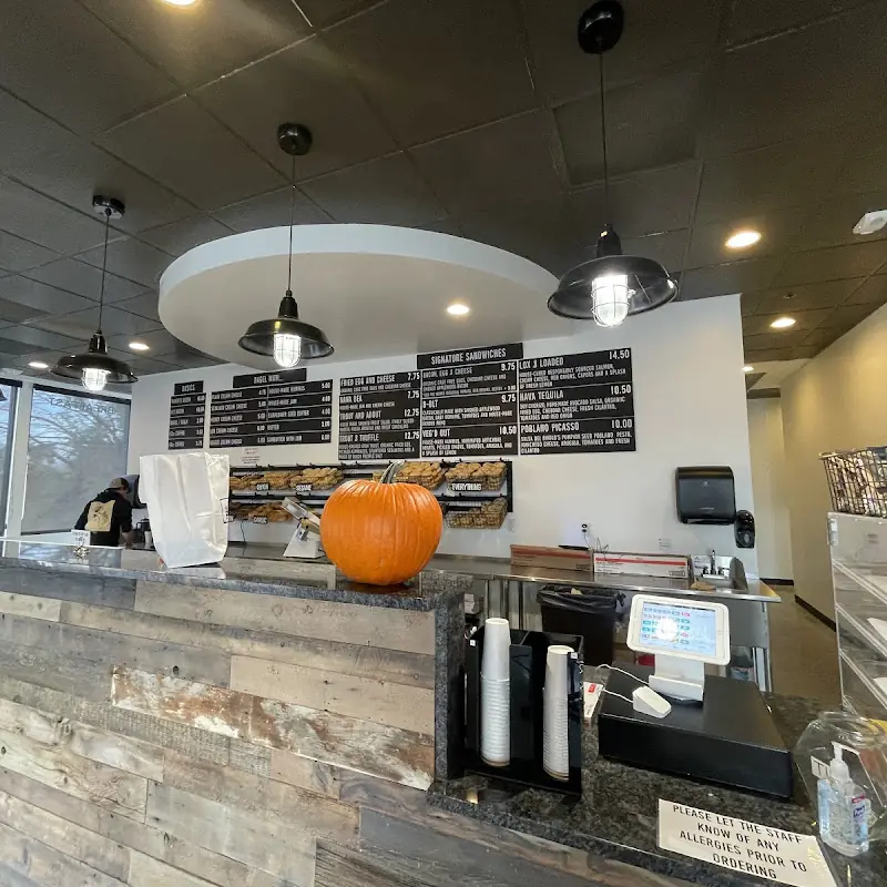 The Bagel Project