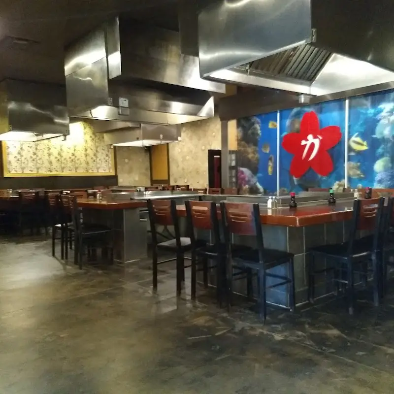 Japanese Steak House & Sushi