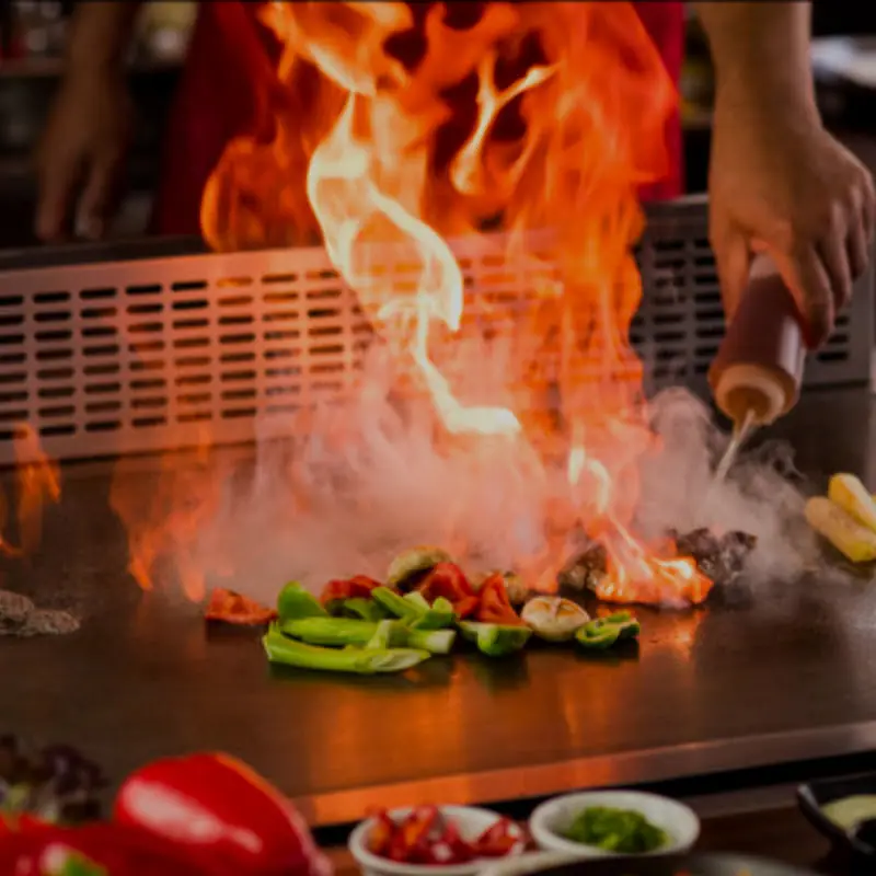 Fuji grill