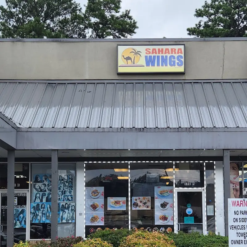 Sahara Wings