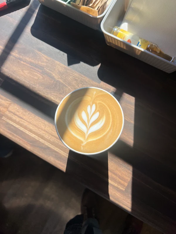 The Usual Coffee Co