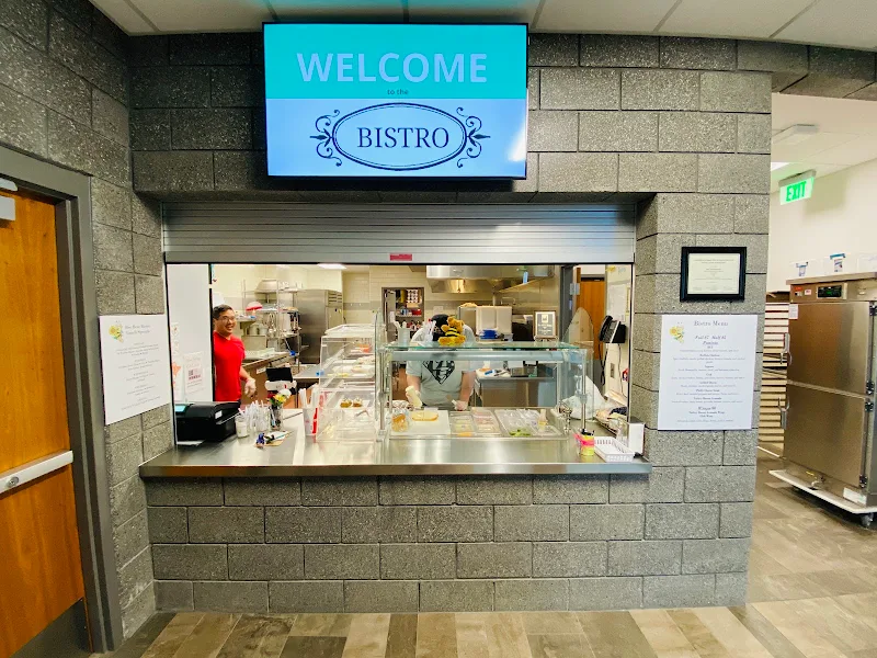 Bee Bear Bistro