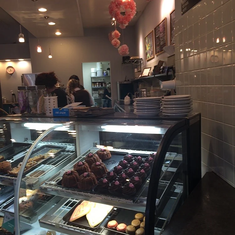 Coffee Hound Uptown Normal