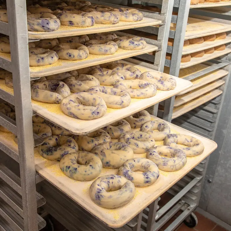Bagel Bakery Cafe