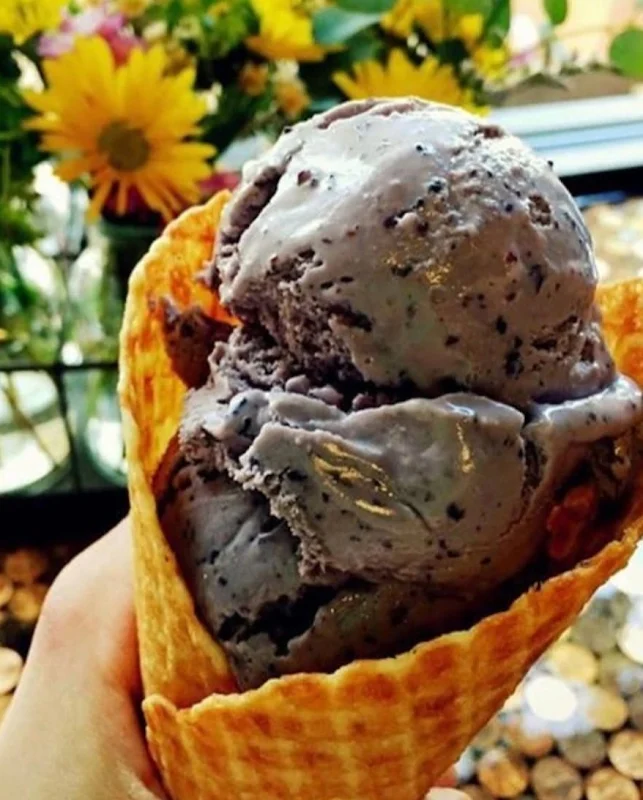 Sugar Chic Creamery Mobile