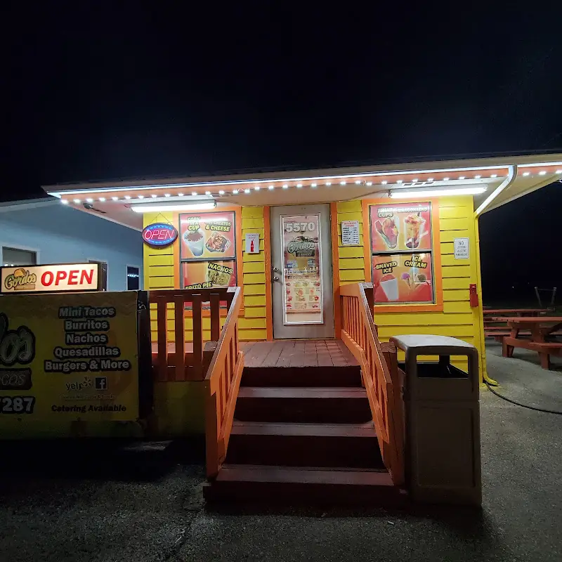 Birria tacos