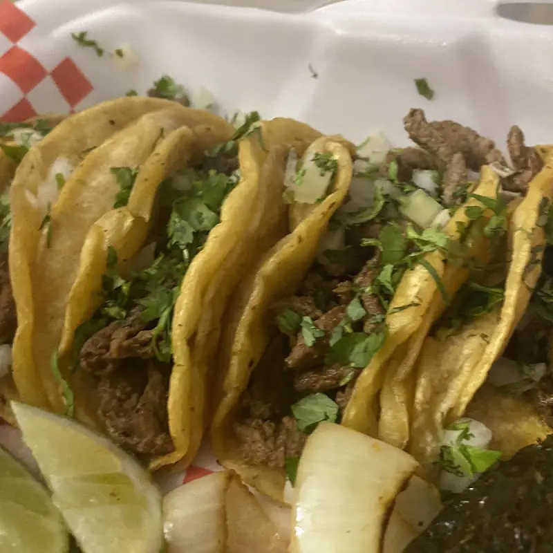 Los TacoAches