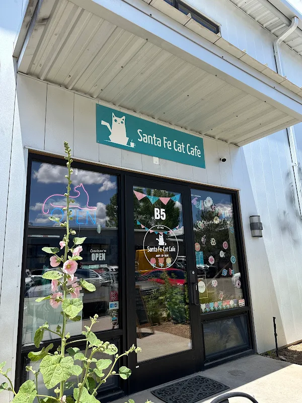 Santa Fe Cat Cafe