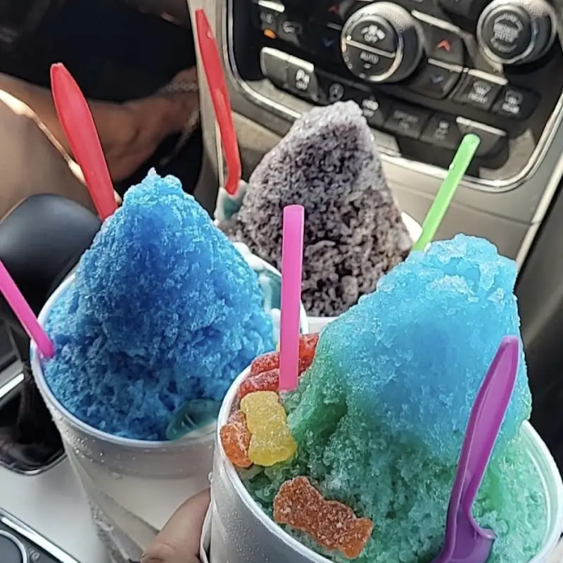 Safari's Snocone