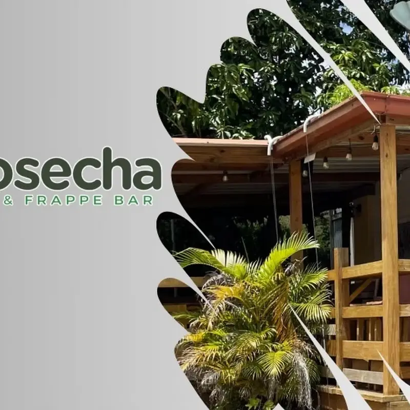 La Kosecha