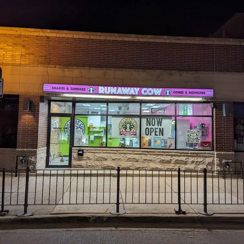 Runaway Cow