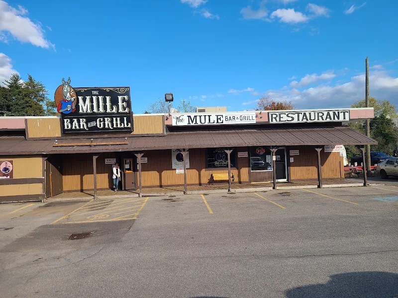 The Mule Bar & Grill
