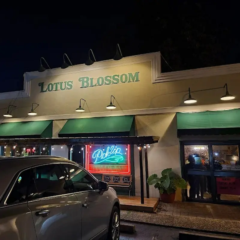Lotus Blossom
