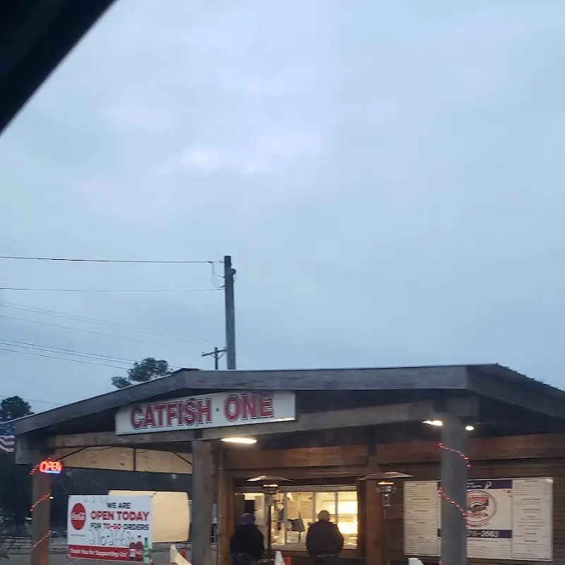 Catfish One of McComb