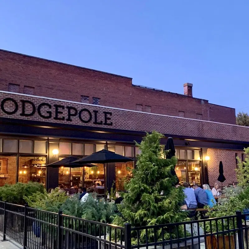 Lodgepole