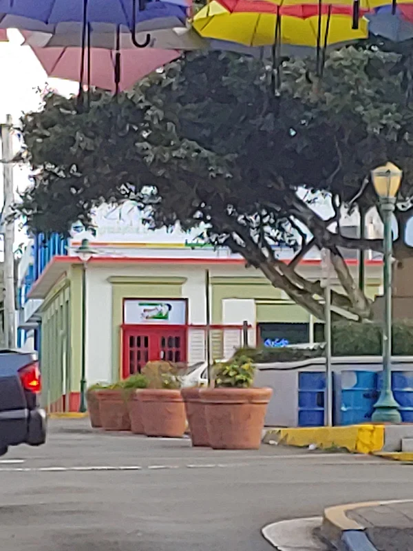 Antonino's Pizza Aibonito