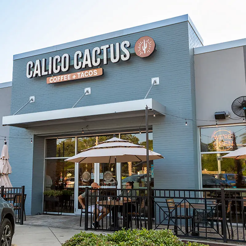 Calico Cactus - St. Augustine