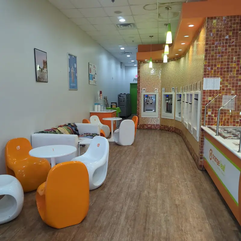 Orange Leaf Frozen Yogurt