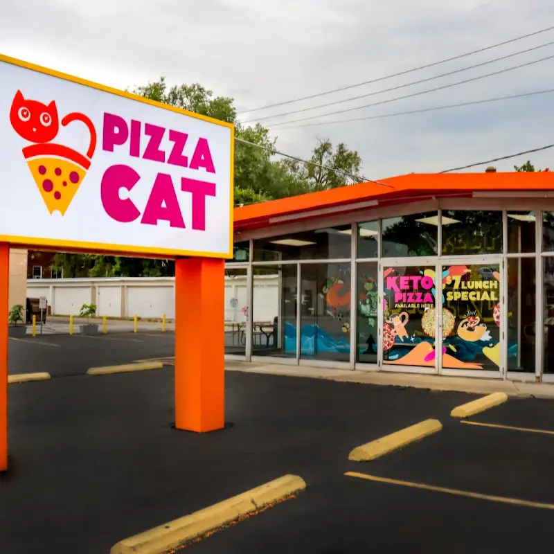 Pizza Cat