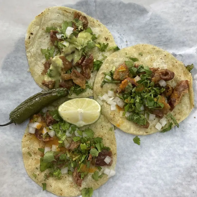 Tacos de Camarón / Shrimp Tacos