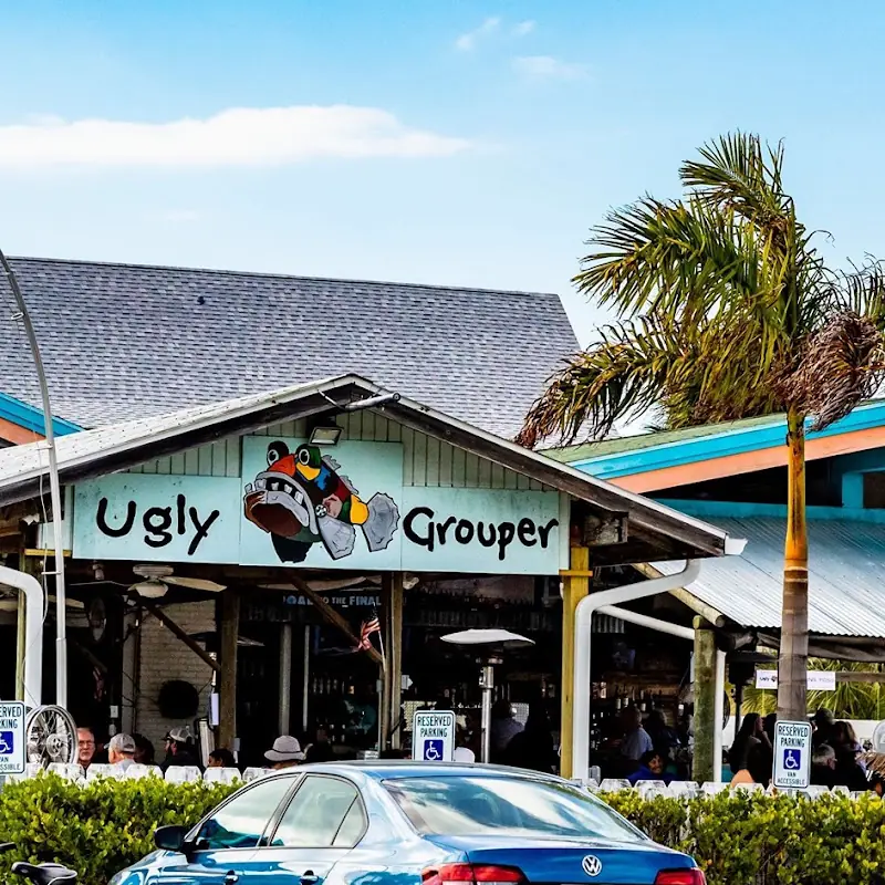 The Ugly Grouper