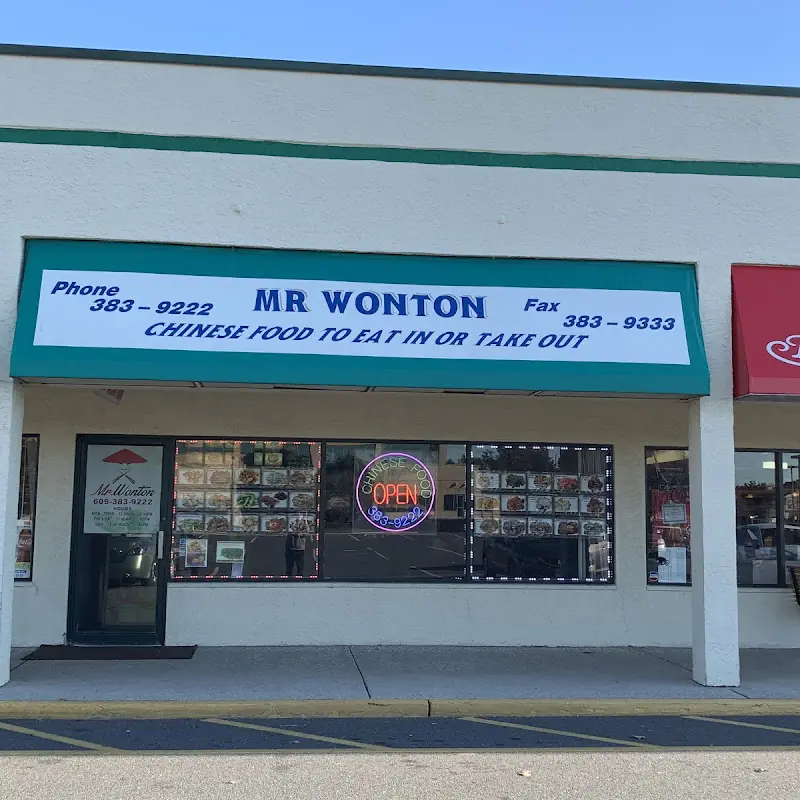 Mr.Wonton