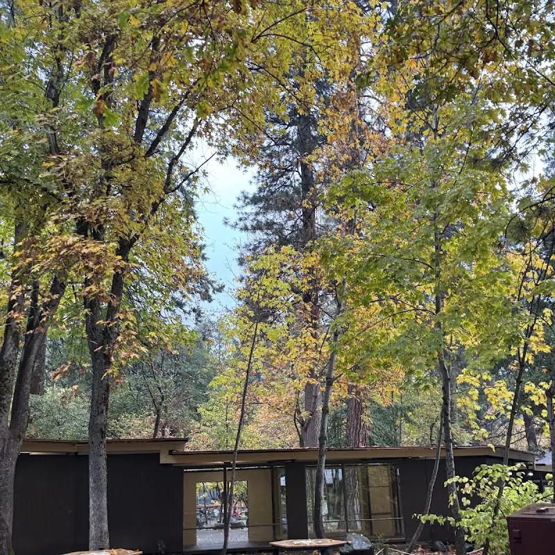 Yosemite Lodge Food Court