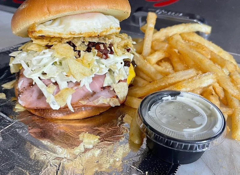 Opita Fried Chicken Burger