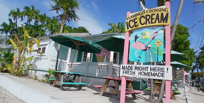 Flamingo Crossing Ice Cream
