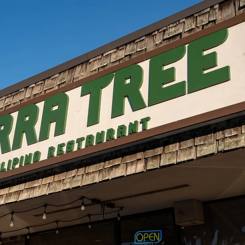 The Narra Tree