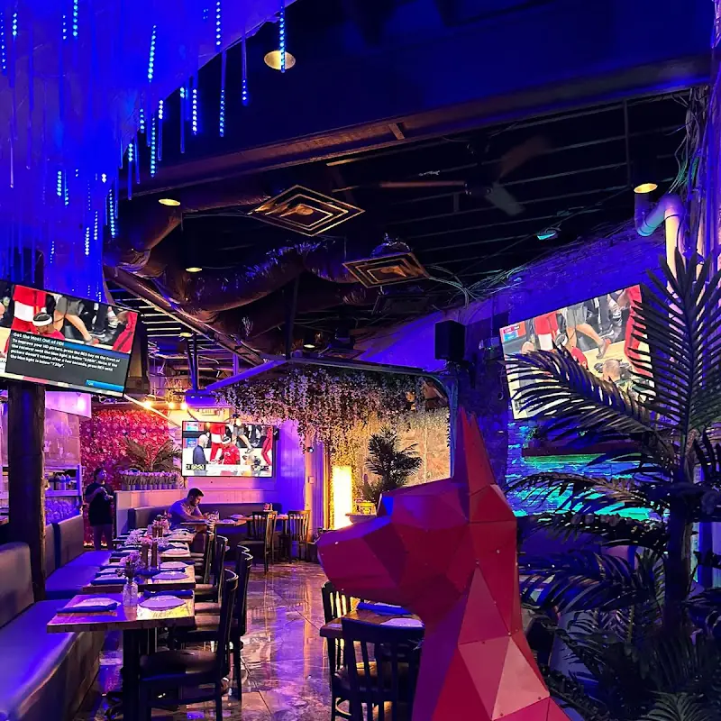 Octopus Kitchen & Hookah